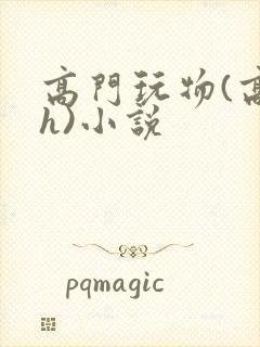 高门玩物(高干h)小说封面