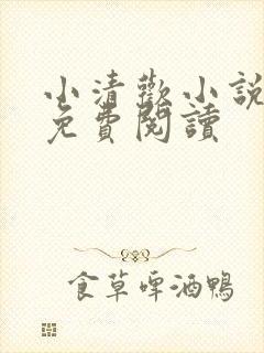 小清欢小说全文免费阅读