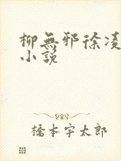 柳无邪徐凌雪的小说