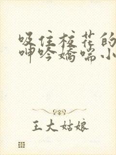 吸住校花的奶头呻吟娇喘小说