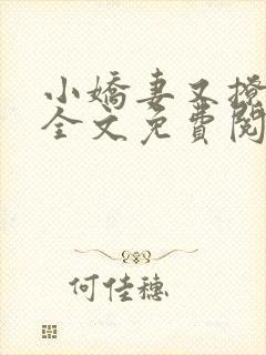 小娇妻又撩又甜全文免费阅读