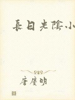 长日光阴小说封面