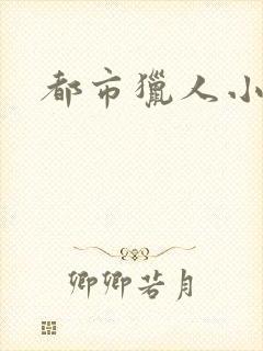 都市猎人小说