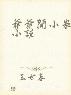 爷爷开小米的包小说封面