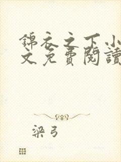 锦衣之下小说全文免费阅读无弹窗封面