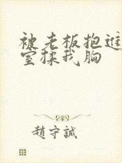 被老板抱进办公室揉我胸封面