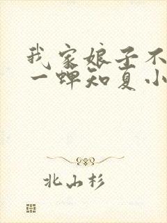 我家娘子不对劲一蝉知夏小说全集看