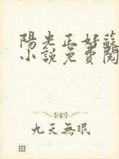 阳光正好苏玥玥小说免费阅读无弹窗封面