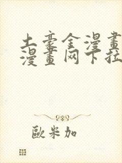 土豪金漫画免费漫画网下拉式