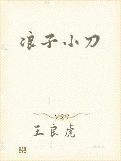 浪子小刀封面