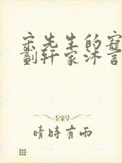 宋先生的宠妻计划轩家沐言