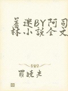 着迷BY阿司匹林小说全文免费阅读