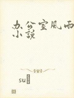 办公室风雨完整小说