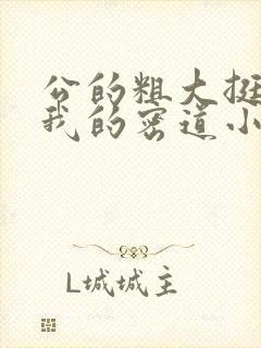 公的粗大挺进了我的密道小说封面