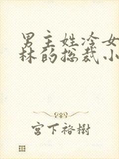 男主姓冷女主姓林的总裁小说