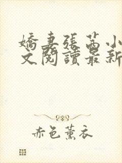 娇妻张茜小说全文阅读最新章节更新