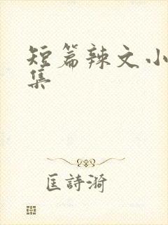 短篇辣文小说合集