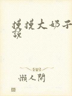 摸摸大奶子的小说封面