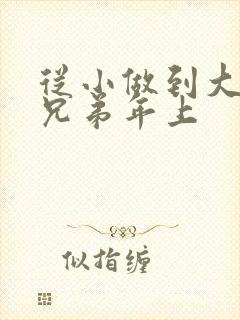 从小做到大骨科兄弟年上