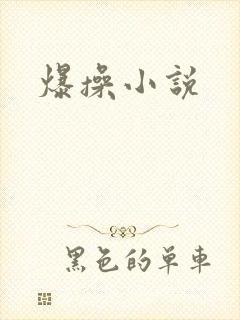 爆操小说