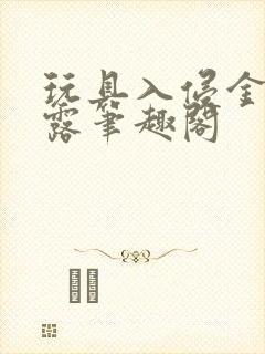 玩具入侵金银花露笔趣阁封面