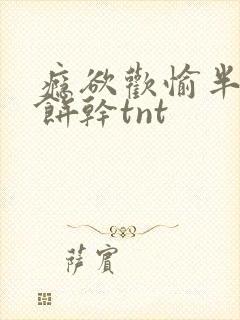 瘾欲欢愉半块小饼干tnt封面