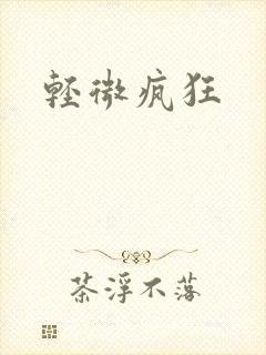 轻微疯狂封面