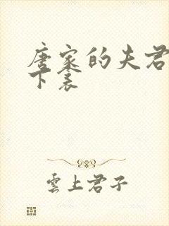 唐家的夫君们帘下衾