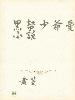 黑帮少爷爱上我小说