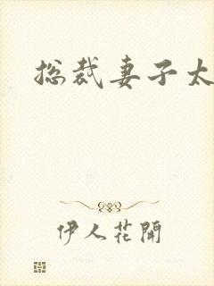 总裁妻子太诱人