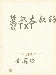 禁欲大叔的心尖宠TXT