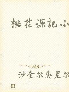 桃花源记小说封面