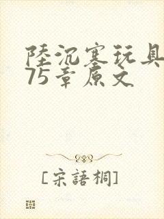 陆沉塞玩具高速75章原文封面