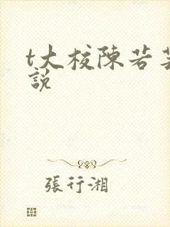 t大校陈若芸小说