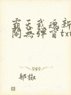 霸天武魂新笔趣阁无弹窗txt