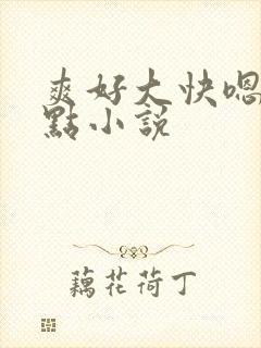 爽好大快嗯～轻点小说封面