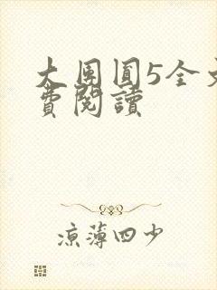 大团圆5全文免费阅读封面