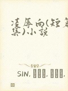 凌辱向(短篇合集)小说