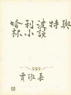 哈利波特与火焰杯小说