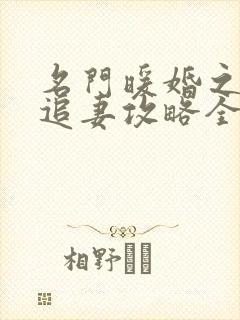 名门暖婚之权爷追妻攻略全文免费阅读封面