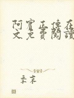 阿宾正传在线全文免费阅读无删减封面