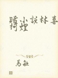 赌小说林喜朝和柯煜