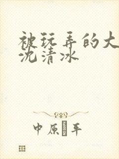 被玩弄的大小姐沈清冰封面