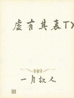 虚有其表TXT封面