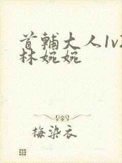 首辅大人1v2林婉婉封面