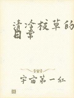 清冷校草的抹布日常