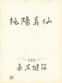 纯阳真仙