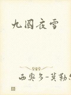 九国夜雪