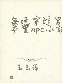 每晚穿进男神的梦里npc小说