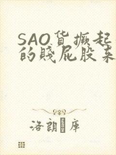 SAO货撅起你的贱屁股来